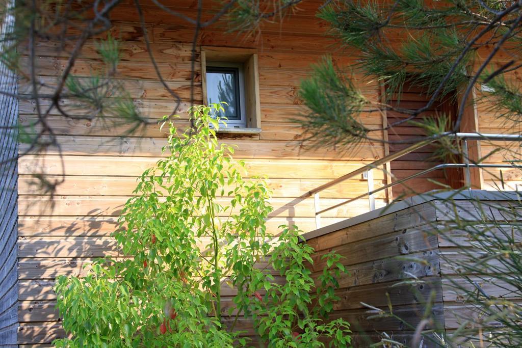 Residence Cala Sultana Porto-Vecchio  Eksteriør bilde